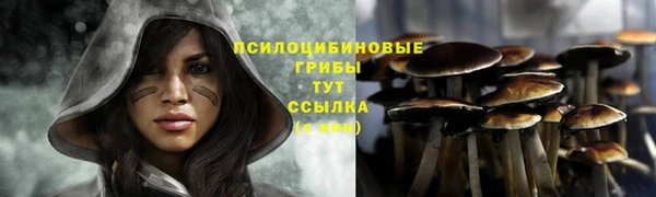 не бодяженный Дмитров