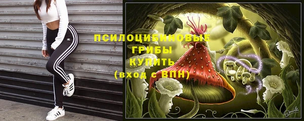 не бодяженный Дмитров